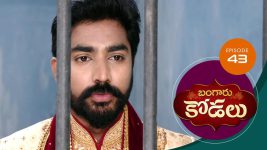 Bangaru Kodalu S01E43 13th July 2020 Full Episode