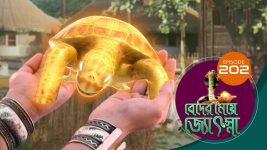 Beder Meye Jyotsna S01E202 23rd August 2019 Full Episode