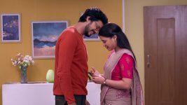 Bhagya Dile Tu Mala S01 E220 Rajvardhan-Kaveri's joyous moment!