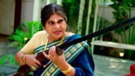 Hitler Gari Pellam S01E442 13th January 2022 Full Episode