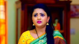 Hitler Gari Pellam S01E446 18th January 2022 Full Episode