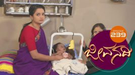 Jeevanadi S01E243 13th April 2018 Full Episode