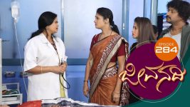 Jeevanadi S01E288 15th June 2018 Full Episode