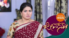 Jeevanadi S01E455 13th February 2019 Full Episode