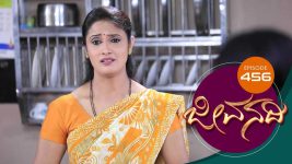Jeevanadi S01E456 14th February 2019 Full Episode