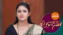 Jeevanadi S01E494 9th April 2019 Full Episode