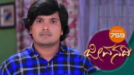 Jeevanadi S01E759 29th February 2020 Full Episode