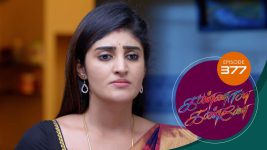 Kannana Kanne S01 E377 27th January 2022