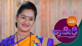 Kaveri S01E461 3rd April 2019 Full Episode