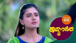 Kavyanjali S01E66 2nd November 2020 Full Episode