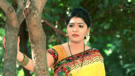 Koilamma S03E03 Lakshmi Questions Sambayya Full Episode
