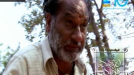 Mutyala muggu S01E08 16th March 2016 Full Episode