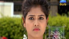 Mutyala muggu S01E123 24th August 2016 Full Episode