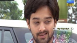 Mutyala muggu S01E141 19th September 2016 Full Episode