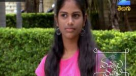 Mutyala muggu S01E142 20th September 2016 Full Episode