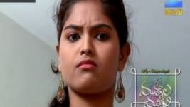 Mutyala muggu S01E151 3rd October 2016 Full Episode