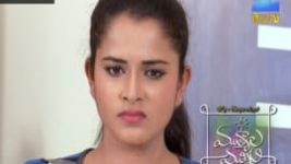 Mutyala muggu S01E156 10th October 2016 Full Episode