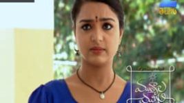 Mutyala muggu S01E159 13th October 2016 Full Episode