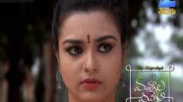Mutyala muggu S01E171 31st October 2016 Full Episode