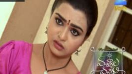 Mutyala muggu S01E181 14th November 2016 Full Episode