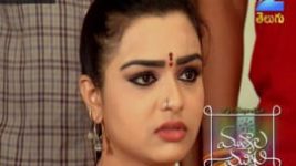 Mutyala muggu S01E183 16th November 2016 Full Episode