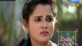 Mutyala muggu S01E185 18th November 2016 Full Episode