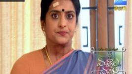 Mutyala muggu S01E186 21st November 2016 Full Episode