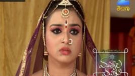 Mutyala muggu S01E191 28th November 2016 Full Episode