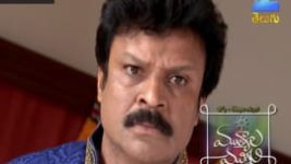 Mutyala muggu S01E192 29th November 2016 Full Episode