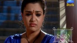 Mutyala muggu S01E194 1st December 2016 Full Episode