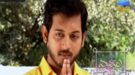 Mutyala muggu S01E196 5th December 2016 Full Episode