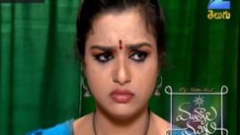 Mutyala muggu S01E201 12th December 2016 Full Episode