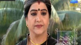 Mutyala muggu S01E203 14th December 2016 Full Episode