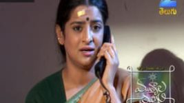 Mutyala muggu S01E205 16th December 2016 Full Episode