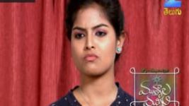 Mutyala muggu S01E206 19th December 2016 Full Episode