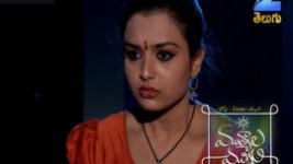 Mutyala muggu S01E207 20th December 2016 Full Episode
