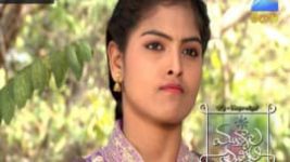 Mutyala muggu S01E214 29th December 2016 Full Episode