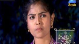 Mutyala muggu S01E215 30th December 2016 Full Episode