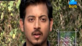 Mutyala muggu S01E216 2nd January 2017 Full Episode