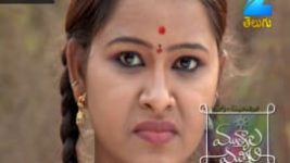 Mutyala muggu S01E219 5th January 2017 Full Episode