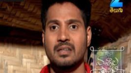 Mutyala muggu S01E222 10th January 2017 Full Episode