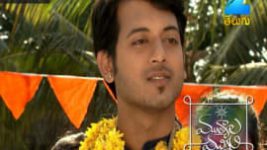 Mutyala muggu S01E228 18th January 2017 Full Episode