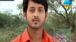 Mutyala muggu S01E230 20th January 2017 Full Episode