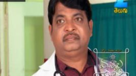 Mutyala muggu S01E233 25th January 2017 Full Episode
