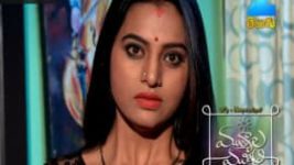 Mutyala muggu S01E238 1st February 2017 Full Episode