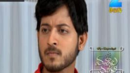 Mutyala muggu S01E251 20th February 2017 Full Episode