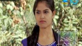Mutyala muggu S01E28 13th April 2016 Full Episode