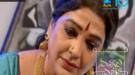 Mutyala muggu S01E29 14th April 2016 Full Episode