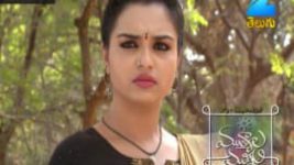 Mutyala muggu S01E294 20th April 2017 Full Episode