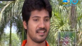 Mutyala muggu S01E32 19th April 2016 Full Episode